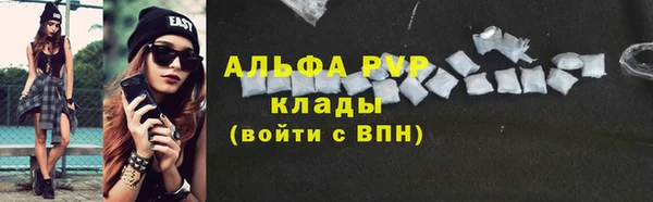 прущие грибы Весьегонск