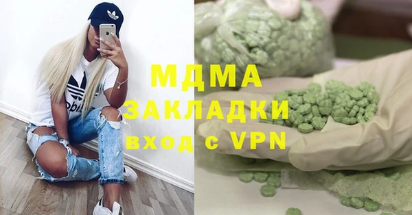 индика Ладушкин