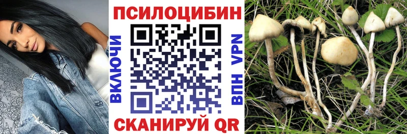 Псилоцибиновые грибы GOLDEN TEACHER  цена   Лиски 