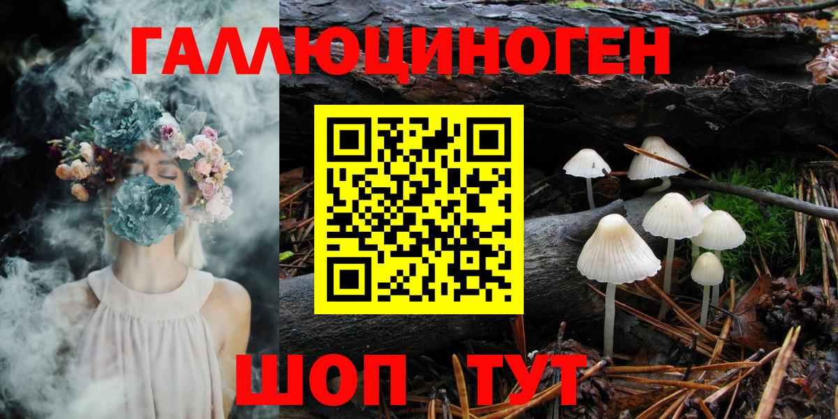 где продают наркотики  Вход с VPN  Лиски  Галлюциногенные грибы Psilocybine cubensis 